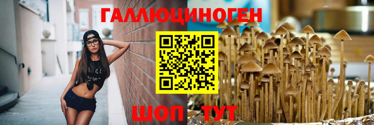 Галлюциногенные грибы MAGIC MUSHROOMS  Вход с VPN  Кинель 