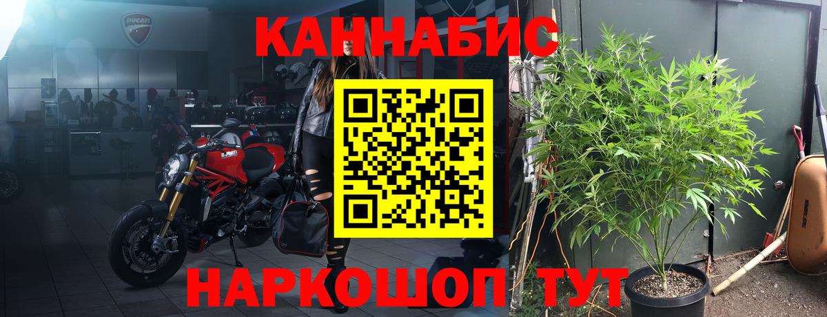 Канабис план Кинель